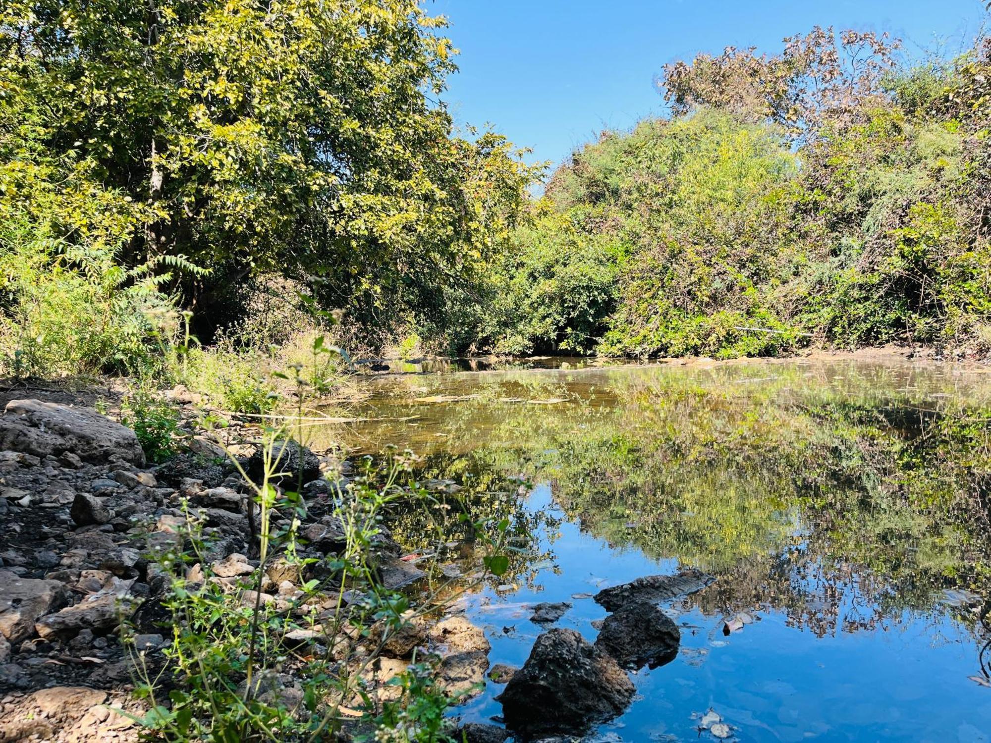 סאסאן גיר Brook Ville מראה חיצוני תמונה