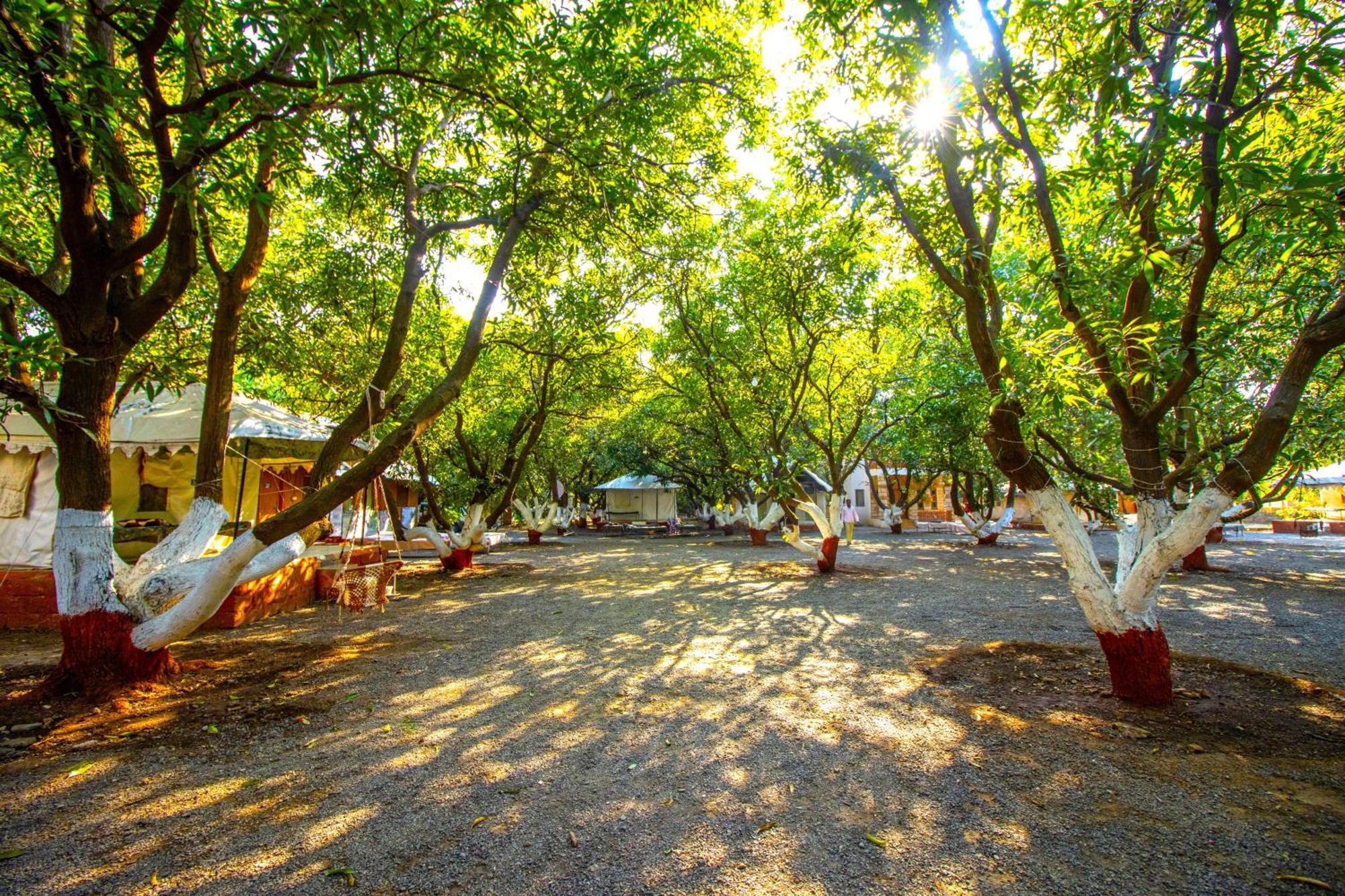 סאסאן גיר Brook Ville מראה חיצוני תמונה