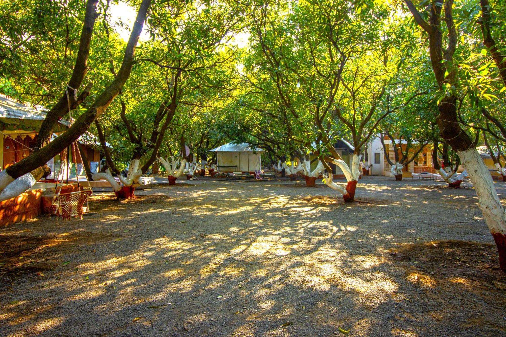 סאסאן גיר Brook Ville מראה חיצוני תמונה