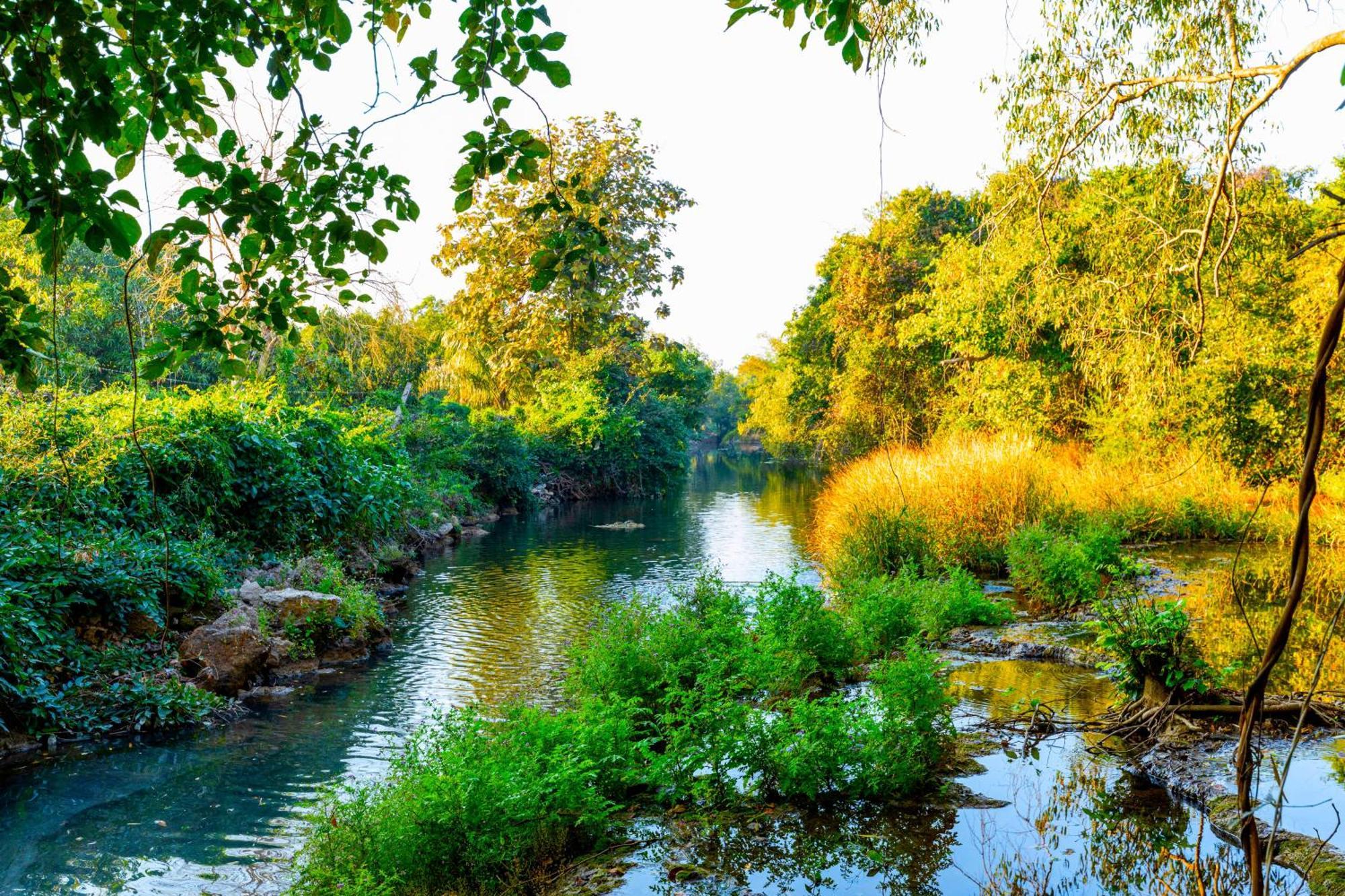 סאסאן גיר Brook Ville מראה חיצוני תמונה