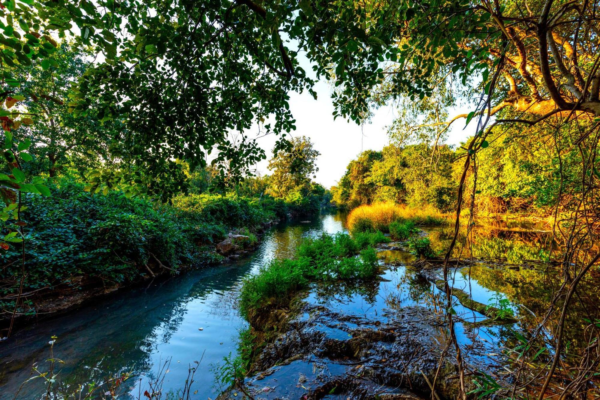 סאסאן גיר Brook Ville מראה חיצוני תמונה