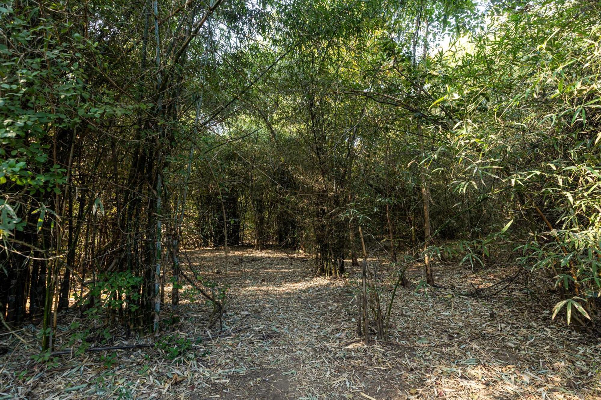 סאסאן גיר Brook Ville מראה חיצוני תמונה